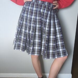 Blue And White Knee-Length Pleated Skirt